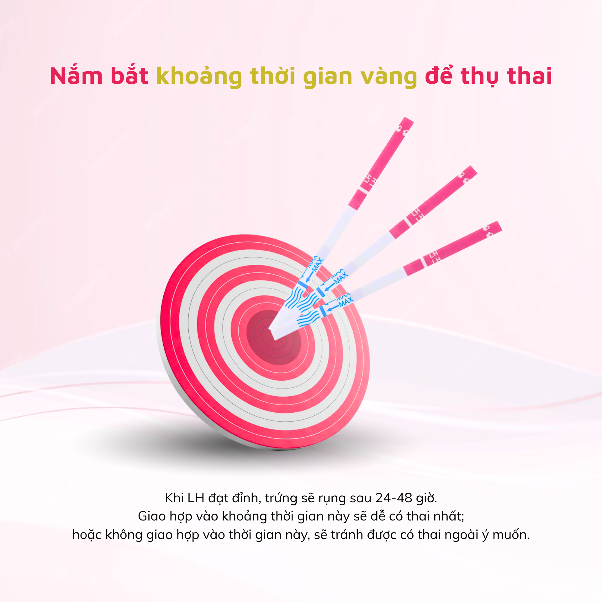 /upload/product/que-thu-thai/que-thu-rung-trung-9.webp