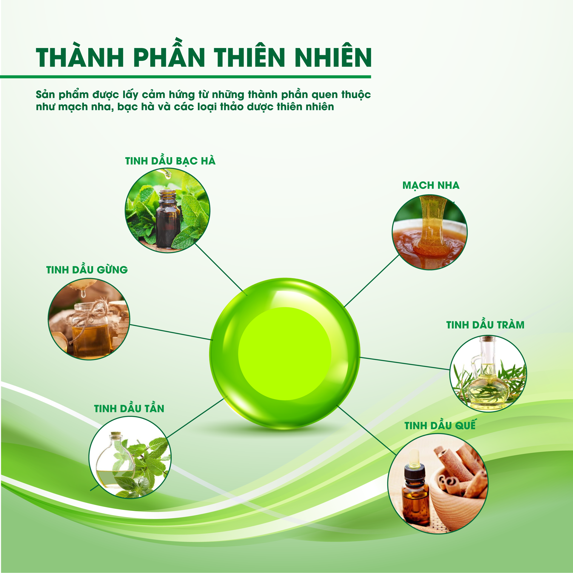 Kẹo Ngậm EUCATANA Hương Thảo Mộc Tự Nhiên, Dịu nhẹ, Thơm Miệng, Thông Cổ Họng, Phù Hợp Cho Cả Gia Đình BH246208 5
