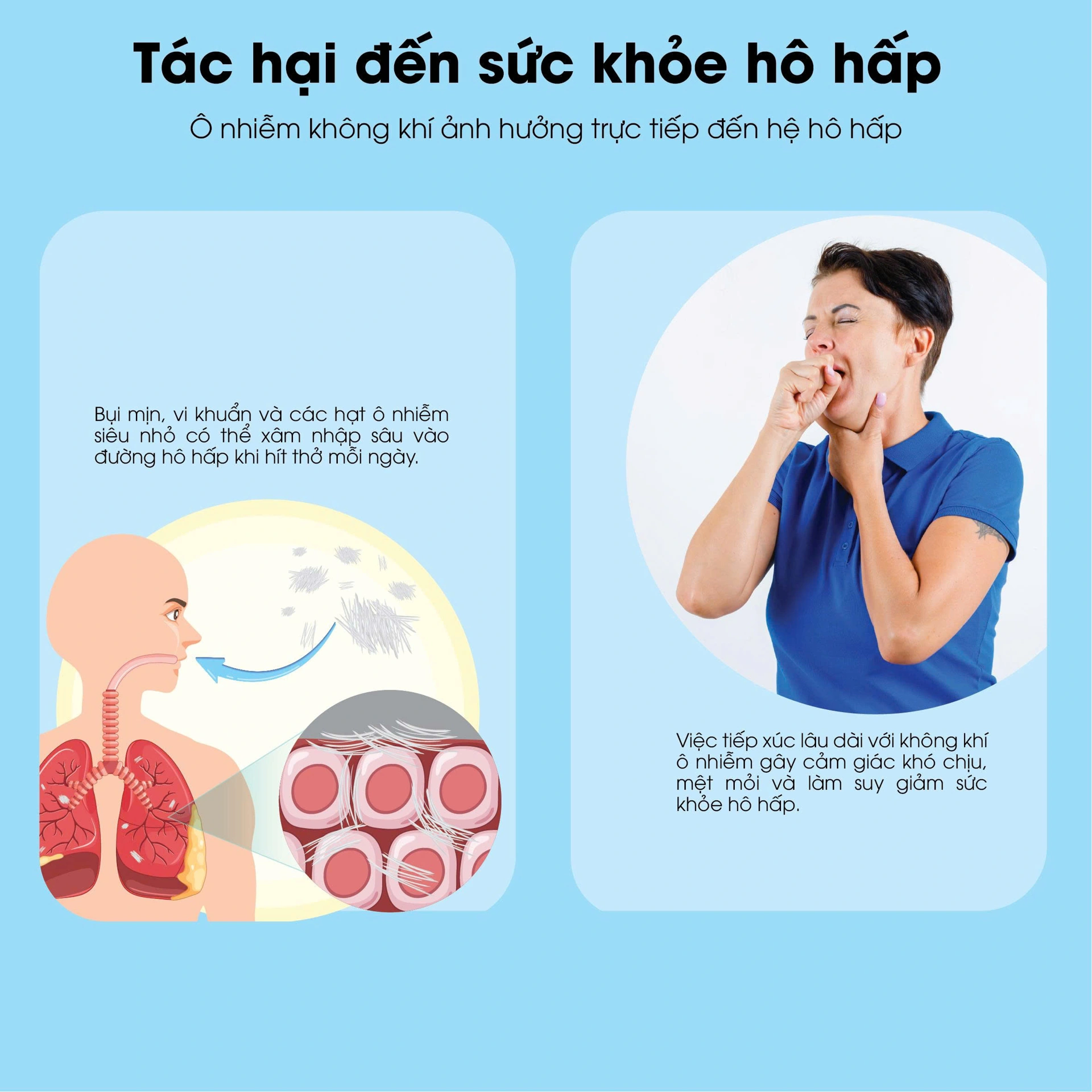 Chỉ Nha Khoa Dentana BH245150 1