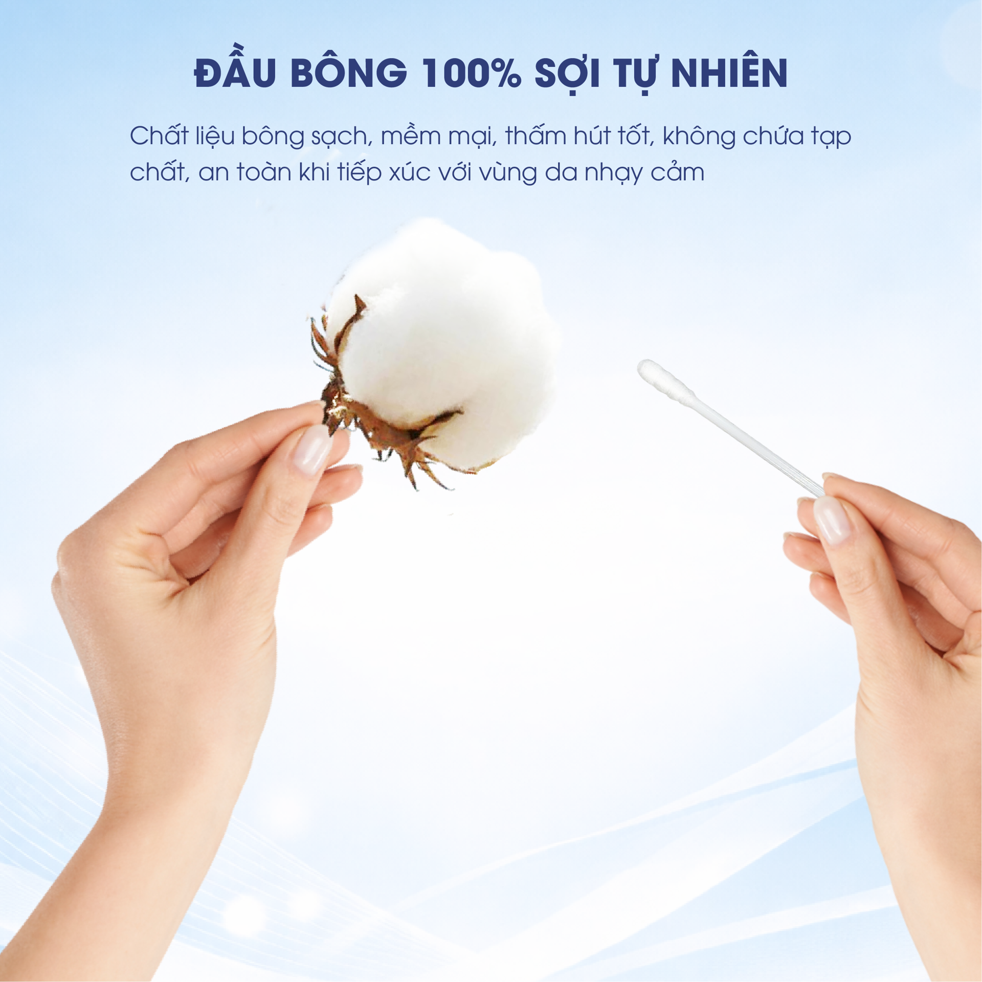 BÔNG VỆ SINH TAI MŨI SOFTTANA PREMIUM BH245208 1