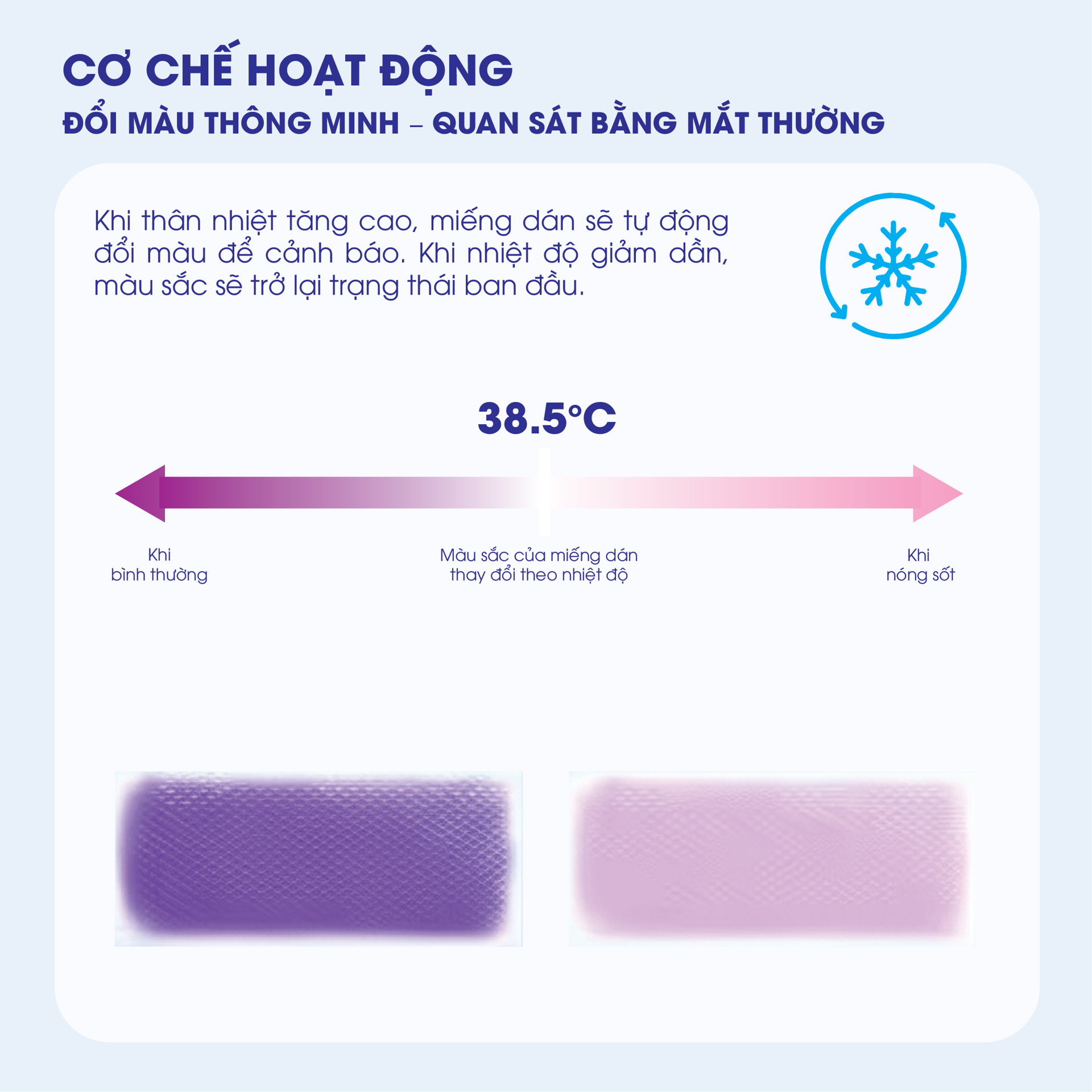 Miếng Dán Hạ Sốt Đổi Màu COOLTANA Premium BH245154 2