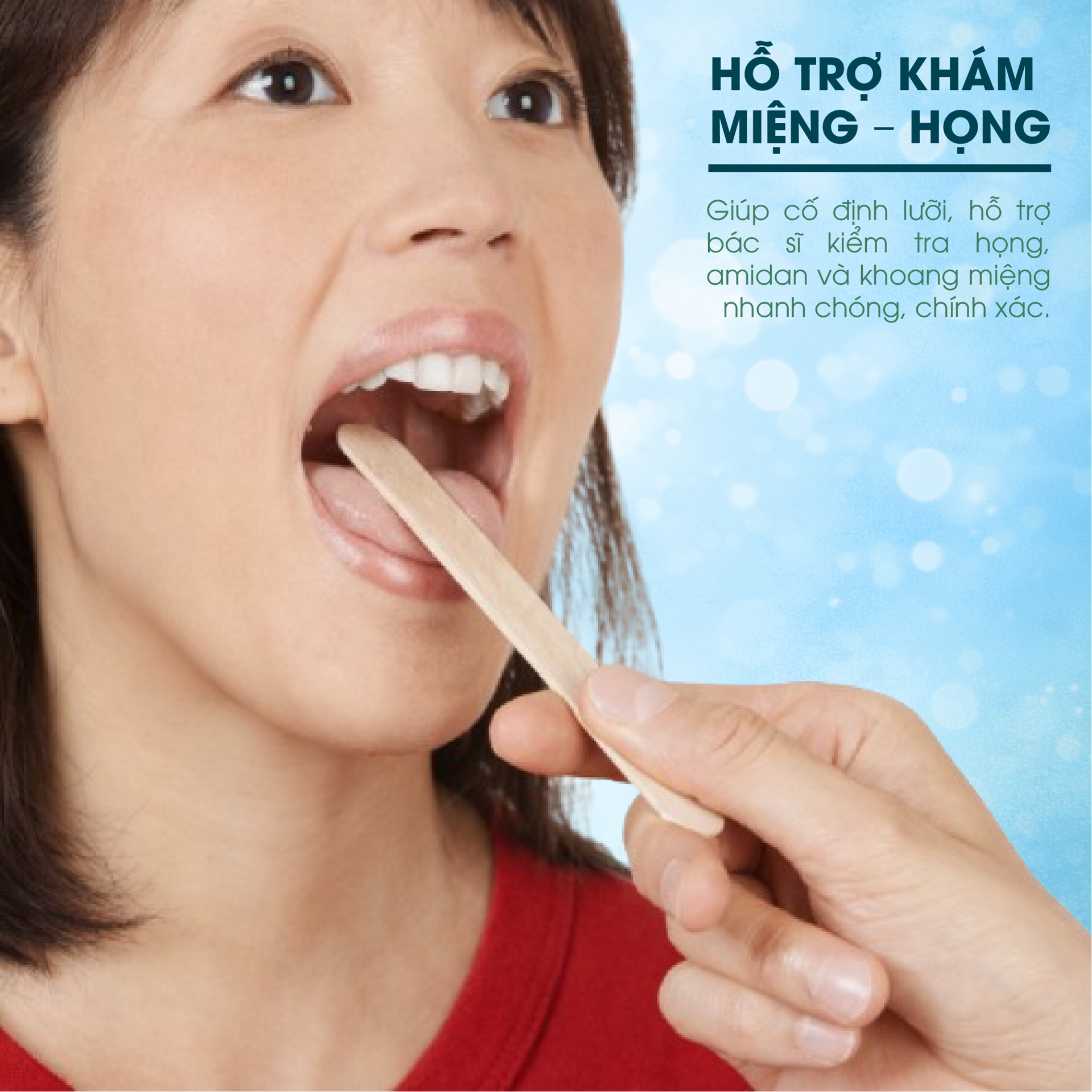 Que Đè Lưỡi Gỗ TANAPHAR BH245166 2